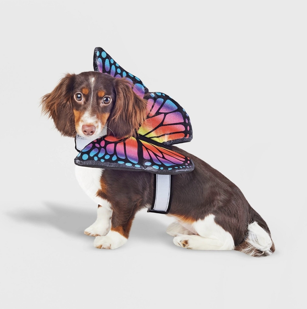 *NWT* Butterfly Pet Costume